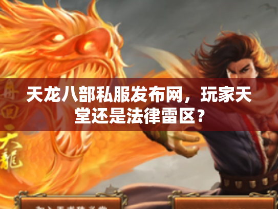 天龙八部私服发布网，玩家天堂还是法律雷区？