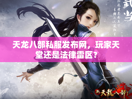 天龙八部私服发布网，玩家天堂还是法律雷区？