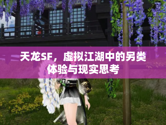 天龙SF，虚拟江湖中的另类体验与现实思考