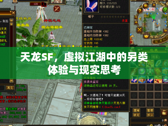 天龙SF，虚拟江湖中的另类体验与现实思考
