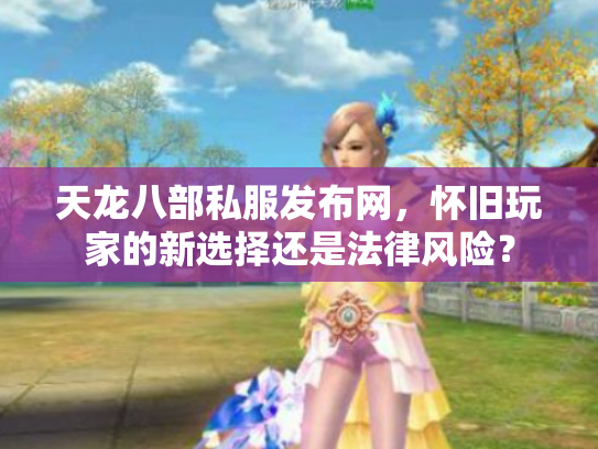 天龙八部私服发布网，怀旧玩家的新选择还是法律风险？