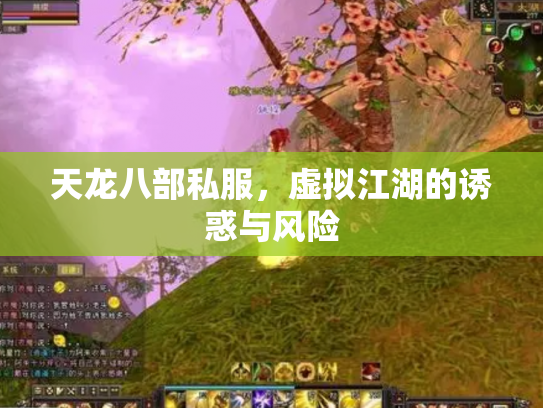 天龙八部私服，虚拟江湖的诱惑与风险