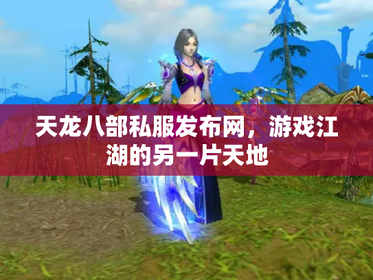 天龙八部私服发布网，游戏江湖的另一片天地