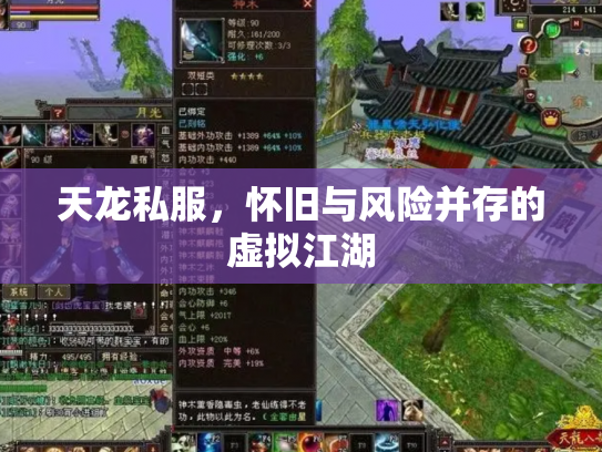 天龙私服，怀旧与风险并存的虚拟江湖