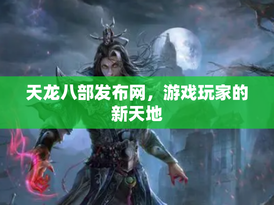 天龙八部发布网，游戏玩家的新天地