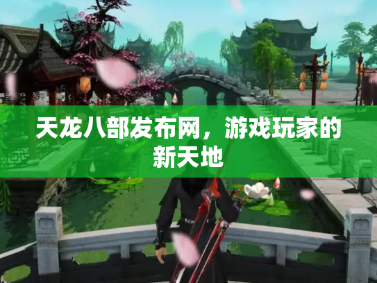 天龙八部发布网，游戏玩家的新天地