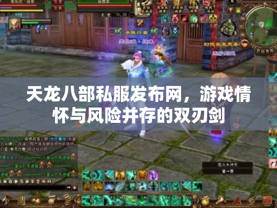 天龙八部私服发布网，游戏情怀与风险并存的双刃剑