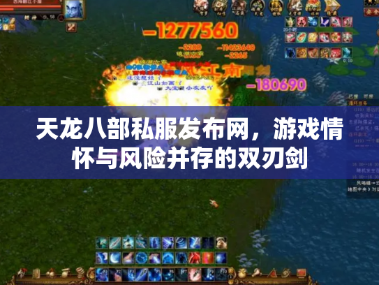 天龙八部私服发布网，游戏情怀与风险并存的双刃剑