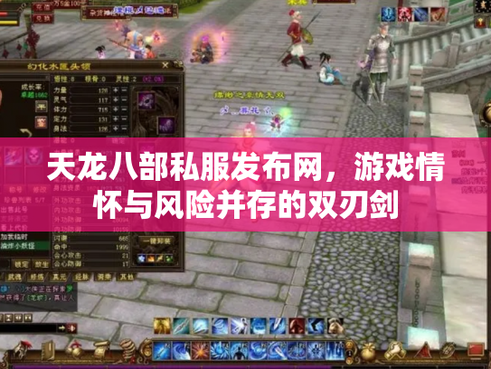 天龙八部私服发布网，游戏情怀与风险并存的双刃剑