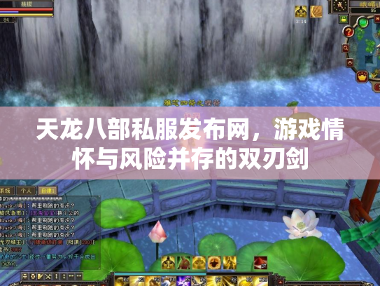 天龙八部私服发布网，游戏情怀与风险并存的双刃剑