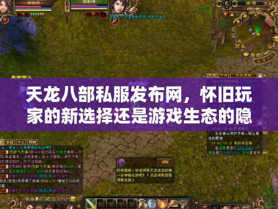 天龙八部私服发布网，怀旧玩家的新选择还是游戏生态的隐患？