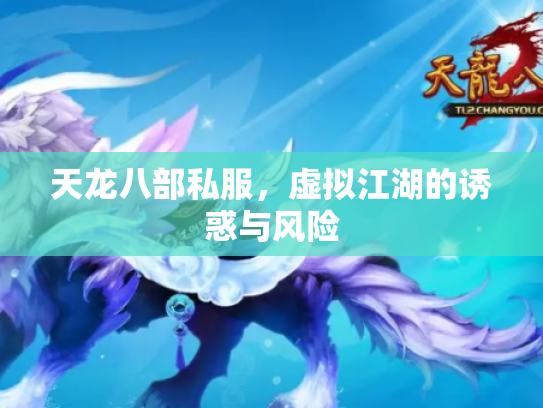 天龙八部私服，虚拟江湖的诱惑与风险