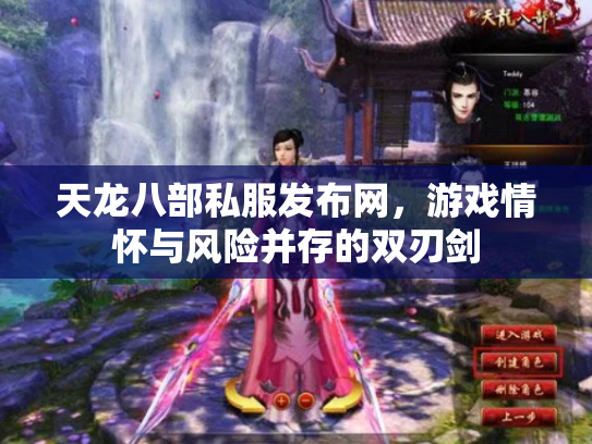 天龙八部私服发布网，游戏情怀与风险并存的双刃剑