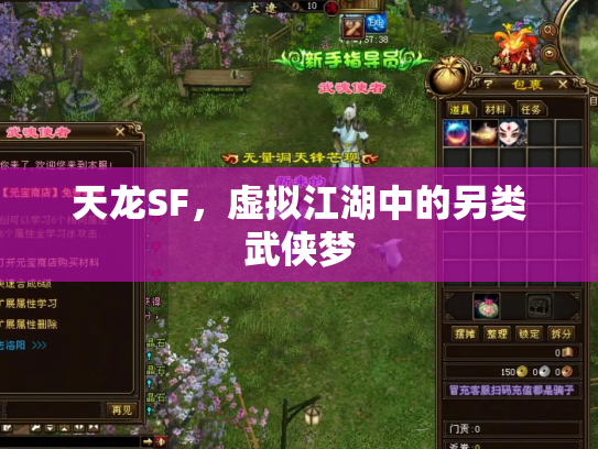 天龙SF，虚拟江湖中的另类武侠梦