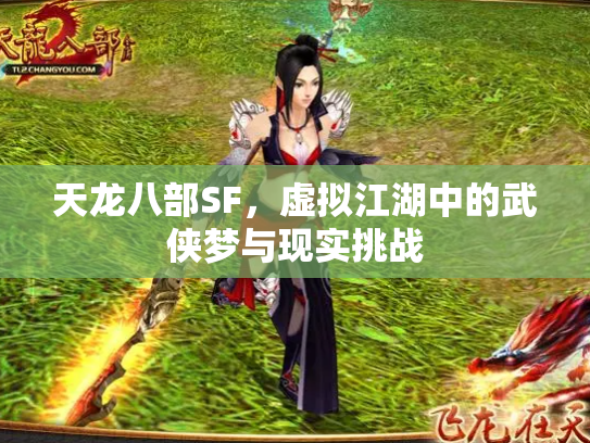 天龙八部SF，虚拟江湖中的武侠梦与现实挑战