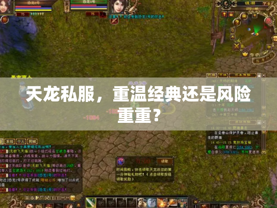 天龙私服，重温经典还是风险重重？