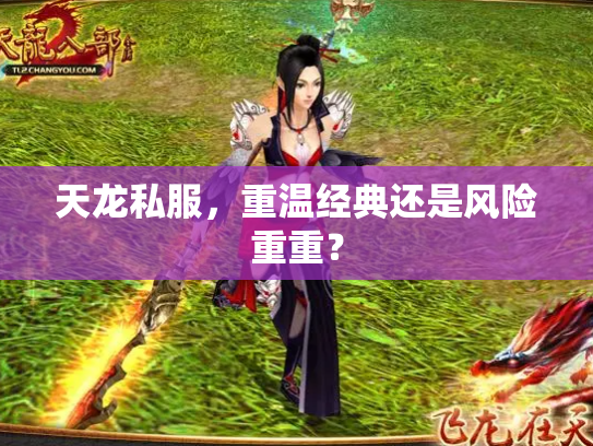 天龙私服，重温经典还是风险重重？
