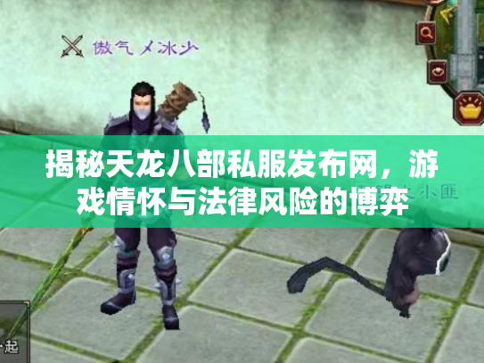 揭秘天龙八部私服发布网，游戏情怀与法律风险的博弈