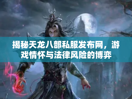 揭秘天龙八部私服发布网，游戏情怀与法律风险的博弈