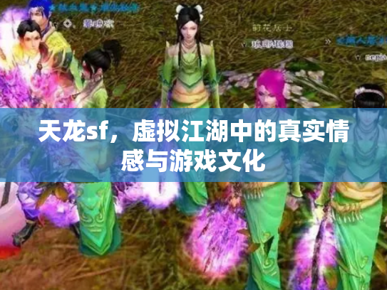 天龙sf，虚拟江湖中的真实情感与游戏文化