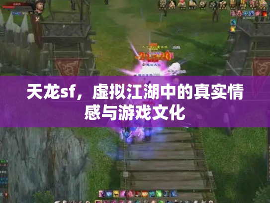 天龙sf，虚拟江湖中的真实情感与游戏文化