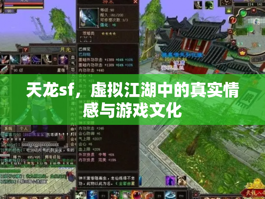 天龙sf，虚拟江湖中的真实情感与游戏文化