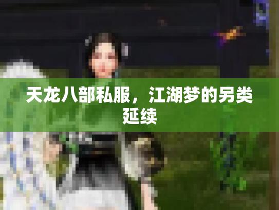 天龙八部私服，江湖梦的另类延续
