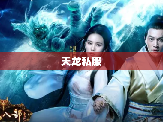 天龙私服