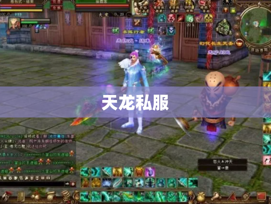 天龙私服