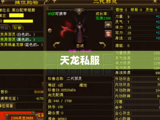 天龙私服