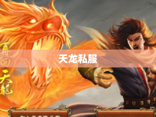 天龙私服