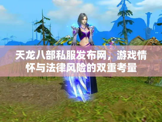 天龙八部私服发布网，游戏情怀与法律风险的双重考量