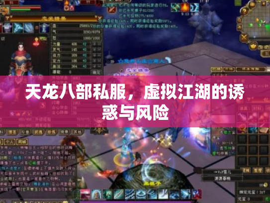 天龙八部私服，虚拟江湖的诱惑与风险