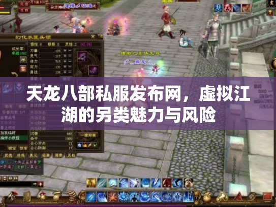 天龙八部私服发布网，虚拟江湖的另类魅力与风险