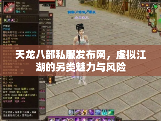 天龙八部私服发布网，虚拟江湖的另类魅力与风险