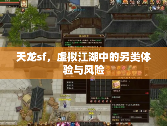 天龙sf，虚拟江湖中的另类体验与风险