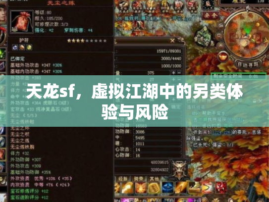 天龙sf，虚拟江湖中的另类体验与风险