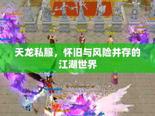 天龙私服，怀旧与风险并存的江湖世界