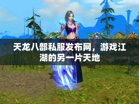天龙八部私服发布网，游戏江湖的另一片天地