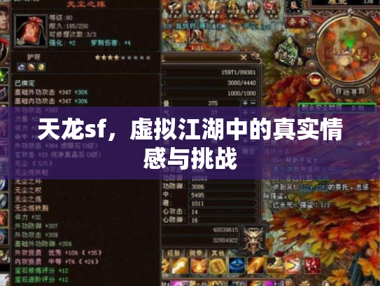 天龙sf，虚拟江湖中的真实情感与挑战