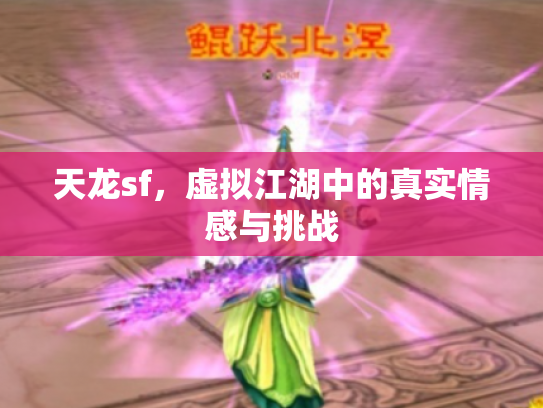 天龙sf，虚拟江湖中的真实情感与挑战