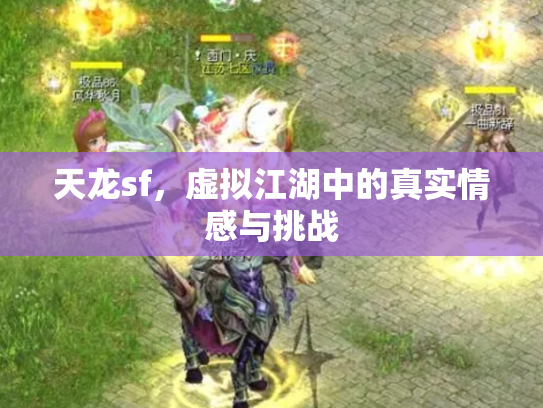 天龙sf，虚拟江湖中的真实情感与挑战