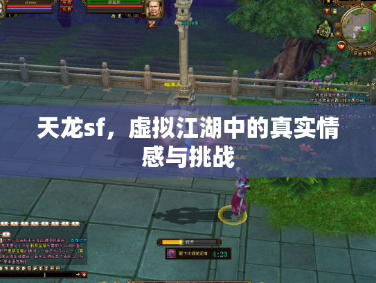 天龙sf，虚拟江湖中的真实情感与挑战