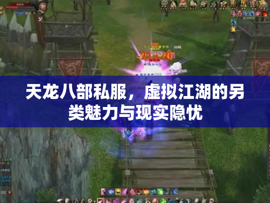 天龙八部私服，虚拟江湖的另类魅力与现实隐忧