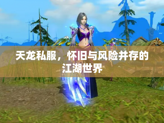 天龙私服，怀旧与风险并存的江湖世界