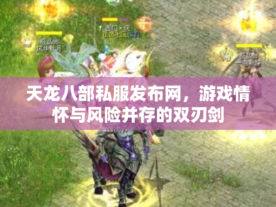 天龙八部私服发布网，游戏情怀与风险并存的双刃剑