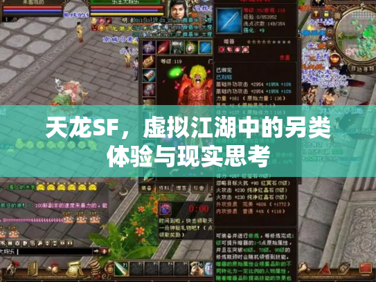 天龙SF，虚拟江湖中的另类体验与现实思考
