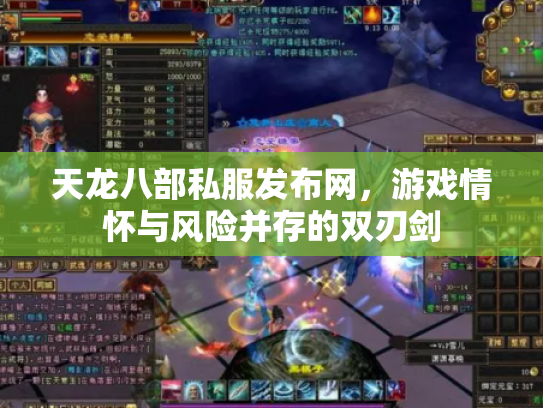 天龙八部私服发布网，游戏情怀与风险并存的双刃剑