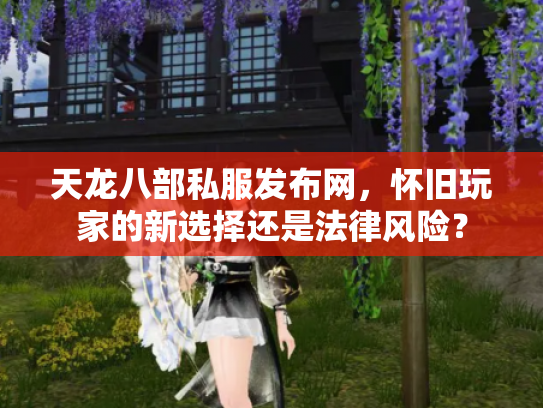 天龙八部私服发布网，怀旧玩家的新选择还是法律风险？