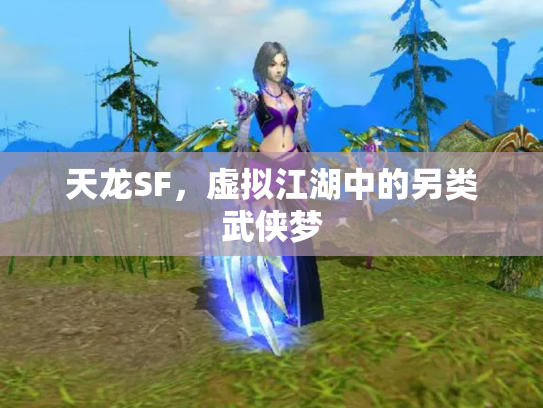 天龙SF，虚拟江湖中的另类武侠梦